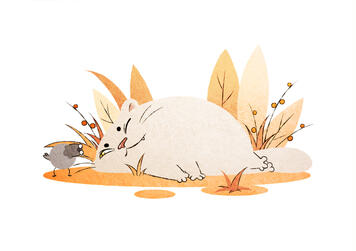 Cat Cat
